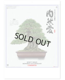 画像1: 自然愛 ＠430円〜(税込)