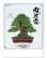 画像1: 自然愛 ＠430円〜(税込) (1)