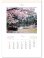 画像2: 庭・四季詩情　＠620円〜(税込) (2)