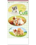 キュート（CUTE)  100冊＠415円〜(税込)