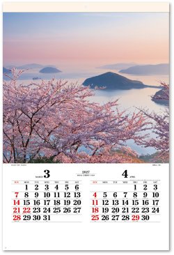 画像3: 四季光耀（フィルム）  ＠970円〜(税込)