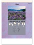 四季六彩 ＠460円〜(税込)