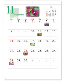 画像4: 四季の花もよう  ＠495円〜(税込)