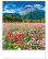 画像1: 四季の日本＠358円〜(税込) (1)