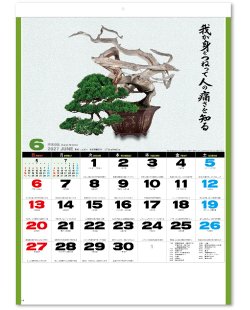 画像3: 自然愛 ＠430円〜(税込)