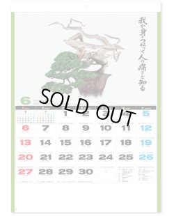 画像3: 自然愛 ＠430円〜(税込)