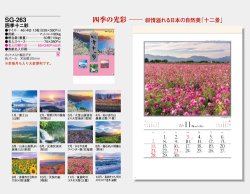 画像5: 四季十二彩  ＠495円〜(税込)