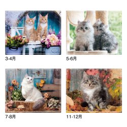 画像4: マイ　スウィーティ―　キャット＠309円〜(税込)