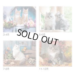 画像4: マイ　スウィーティ―　キャット＠299円〜(税込)