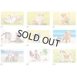 画像4: Dear Family（ディアーファミリー）＠515円〜(税込)