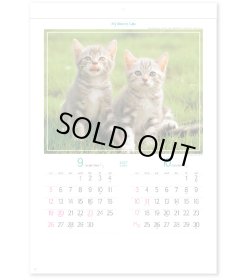 画像3: マイ　スウィーティ―　キャット＠299円〜(税込)