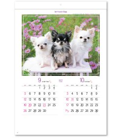 画像3: マイ　スウィーティ―　ドッグ＠309円〜(税込)