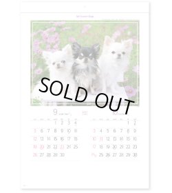 画像3: マイ　スウィーティ―　ドッグ＠299円〜(税込)