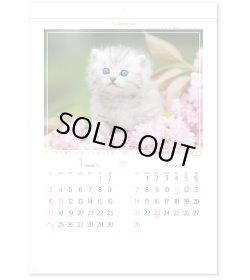 画像2: マイ　スウィーティ―　キャット＠299円〜(税込)