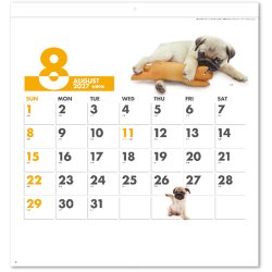 画像4: DOG DOG DOG  ＠495円〜(税込)