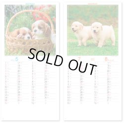 画像3: ドッグファミリー ＠299円〜(税込)