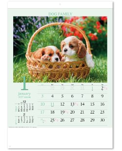 画像2: ドッグファミリー　100冊＠430円〜