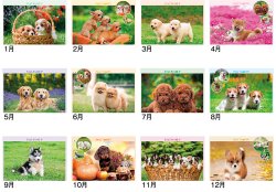 画像4: ドッグファミリー　100冊＠430円〜