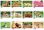 画像4: ドッグファミリー　100冊＠430円〜 (4)