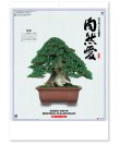 画像1: 自然愛<盆栽>＠415円〜(税込)