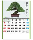 画像3: 自然愛<盆栽>＠415円〜(税込)