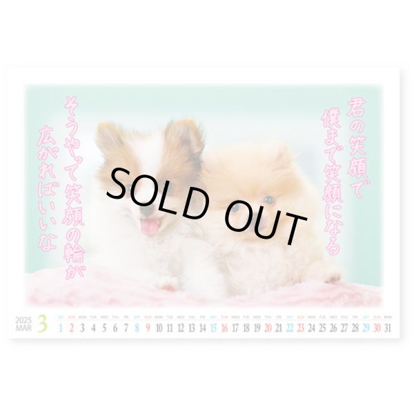 画像2: 卓上 すまいる＠560円〜(税込)