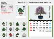 画像5: 自然愛<盆栽>＠415円〜(税込)