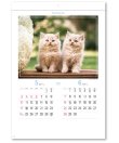 画像2: マイ　スウィーティ―　キャット＠299円〜(税込)