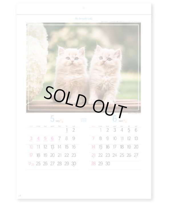 画像2: マイ　スウィーティ―　キャット＠299円〜(税込)