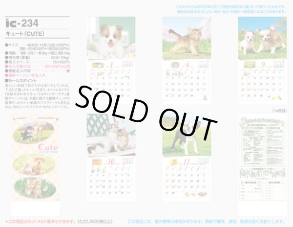 画像5: キュート（CUTE)  100冊＠395円〜(税込)