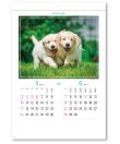 画像2: マイ　スウィーティ―　ドッグ＠299円〜(税込)