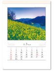画像3: 四季十二彩＠595円〜(税込)