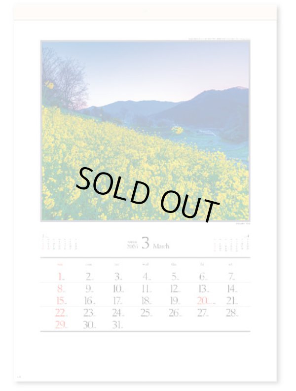 画像3: 四季十二彩＠595円〜(税込)