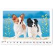 画像4: 卓上 すまいる＠560円〜(税込)