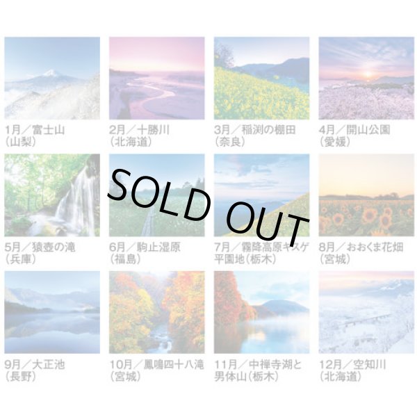 画像4: 四季十二彩＠595円〜(税込)