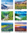 画像4: 日本の四季@235円〜(税込)