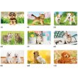 画像4: Dear Family（ディアーファミリー）＠515円〜(税込)