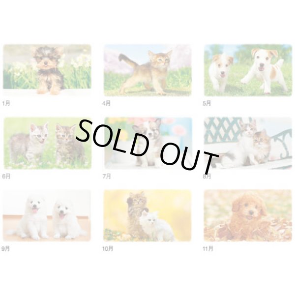 画像4: Dear Family（ディアーファミリー）＠515円〜(税込)