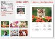 画像5: マイ　スウィーティ―　キャット＠299円〜(税込)