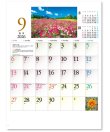 画像2: 四季物語　＠495円〜(税込)