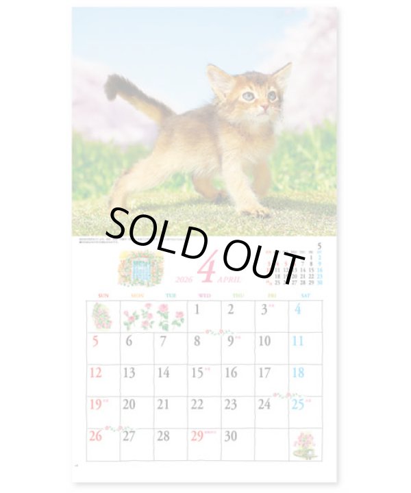 画像3: キュート（CUTE)  100冊＠395円〜(税込)