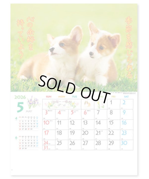 画像3: すまいる ＠535円〜(税込)