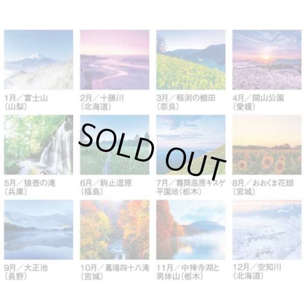 画像4: 四季十二彩  ＠495円〜(税込)