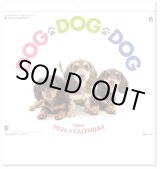 画像: DOG DOG DOG  ＠495円〜(税込)