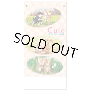 画像: キュート（CUTE)  100冊＠395円〜(税込)