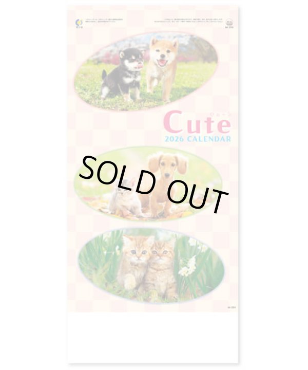 画像1: キュート（CUTE)  100冊＠395円〜(税込)