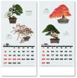 画像4: 自然愛<盆栽>＠595円〜(税込)