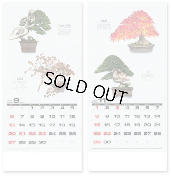 画像4: 自然愛 ＠595円〜(税込)