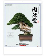 画像: 自然愛 ＠415円〜(税込)