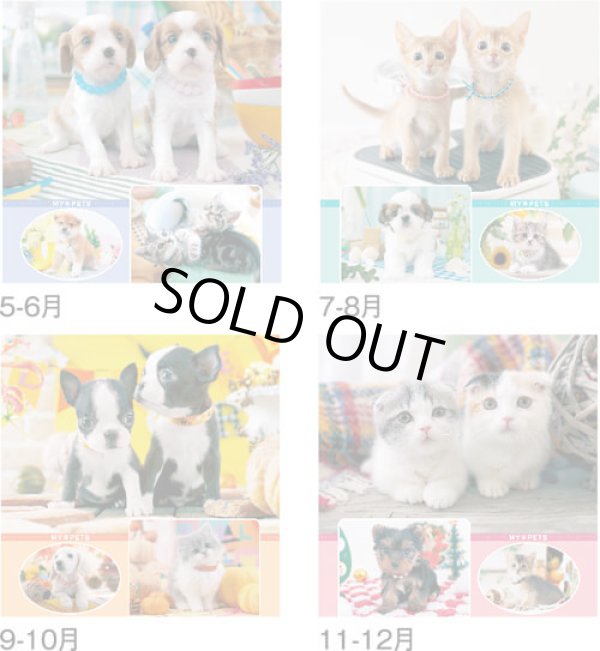 画像4: マイペット　(フィルム）＠970円〜(税込)